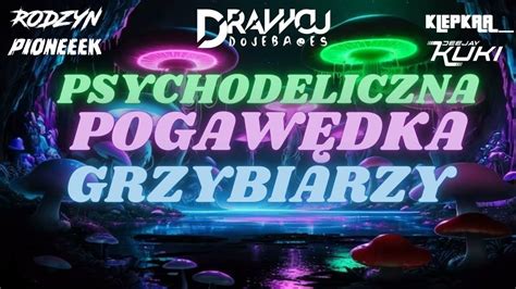  Paranoid Android - Psychodeliczna symfonia rocka alternatywnego z odrobiną progresywnego eksperymentu